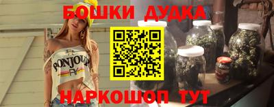 дживик Моздок