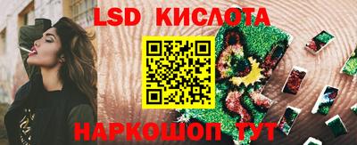 прущие грибы Можга