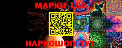 прущие грибы Можга