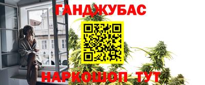 прущие грибы Можга
