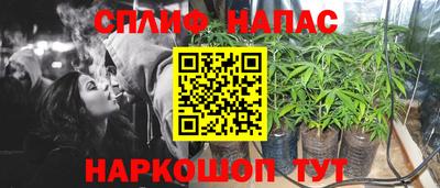 дживик Моздок