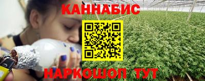 дживик Моздок