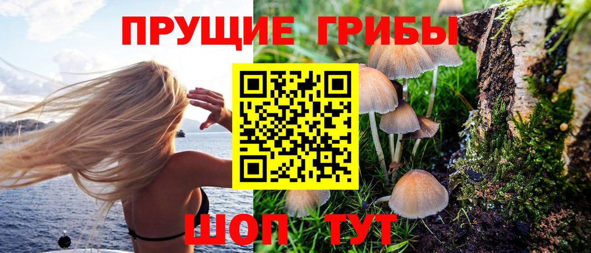 Галлюциногенные грибы мухоморы Торжок