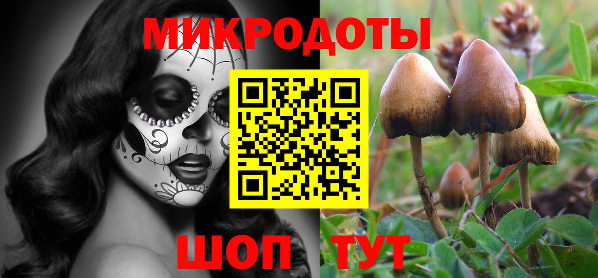 Торжок  Галлюциногенные грибы MAGIC MUSHROOMS  Вход с VPN 